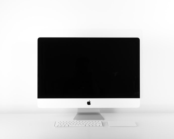 Monitor Full HD da 24 pollici